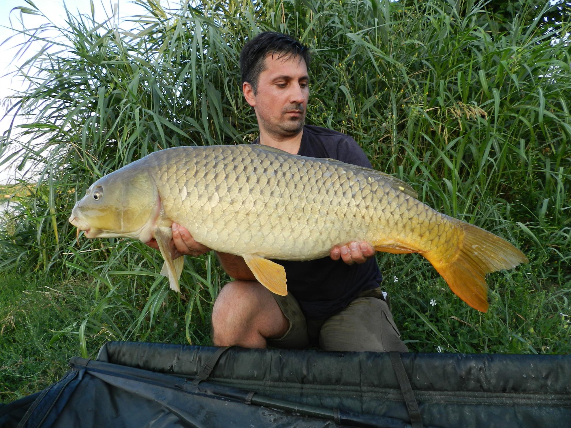 2015/iulie capturi - dscn4009.JPG